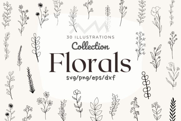 Floral SVG Bundle: Graphics for Crafts & Brand Projects